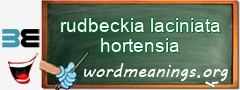 WordMeaning blackboard for rudbeckia laciniata hortensia